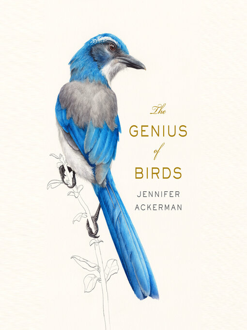 Cover image for The Genius of Birds